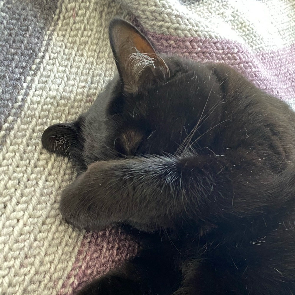 Meet your Posher, Karina